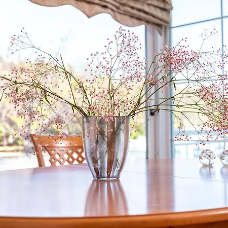 Aegean Whispers House